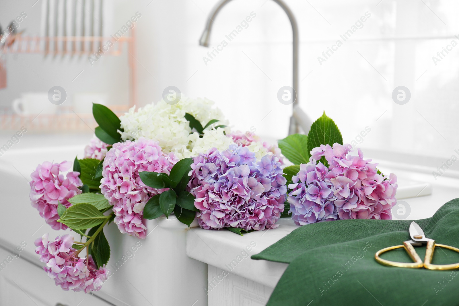 Photo of Beautiful bouquet of hydrangea flowers in sink, closeup