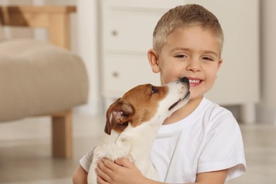 Photo of Little boy with his cute dog at home, space for text. Adorable pet