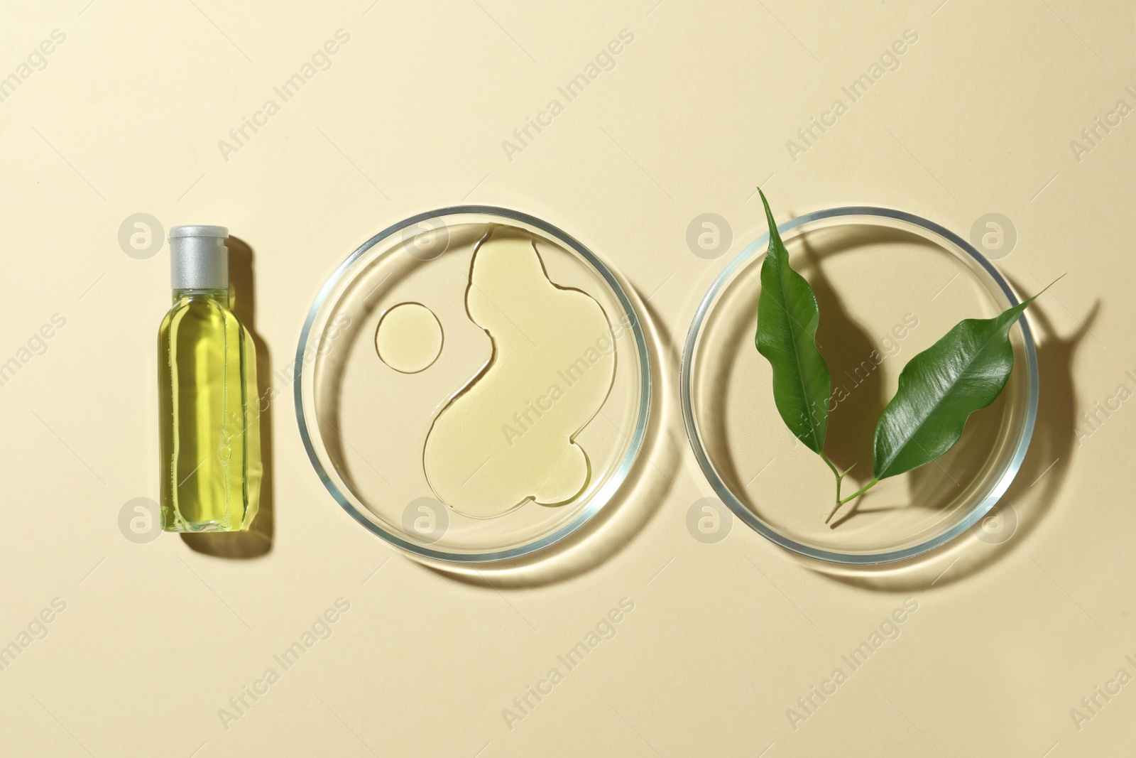 Photo of Petri dishes with cosmetic products and leaves on beige background, flat lay
