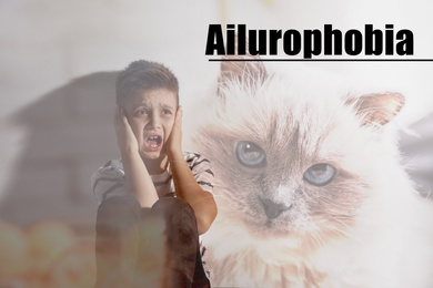 Image of Little boy suffering from ailurophobia. Irrational fear of cats