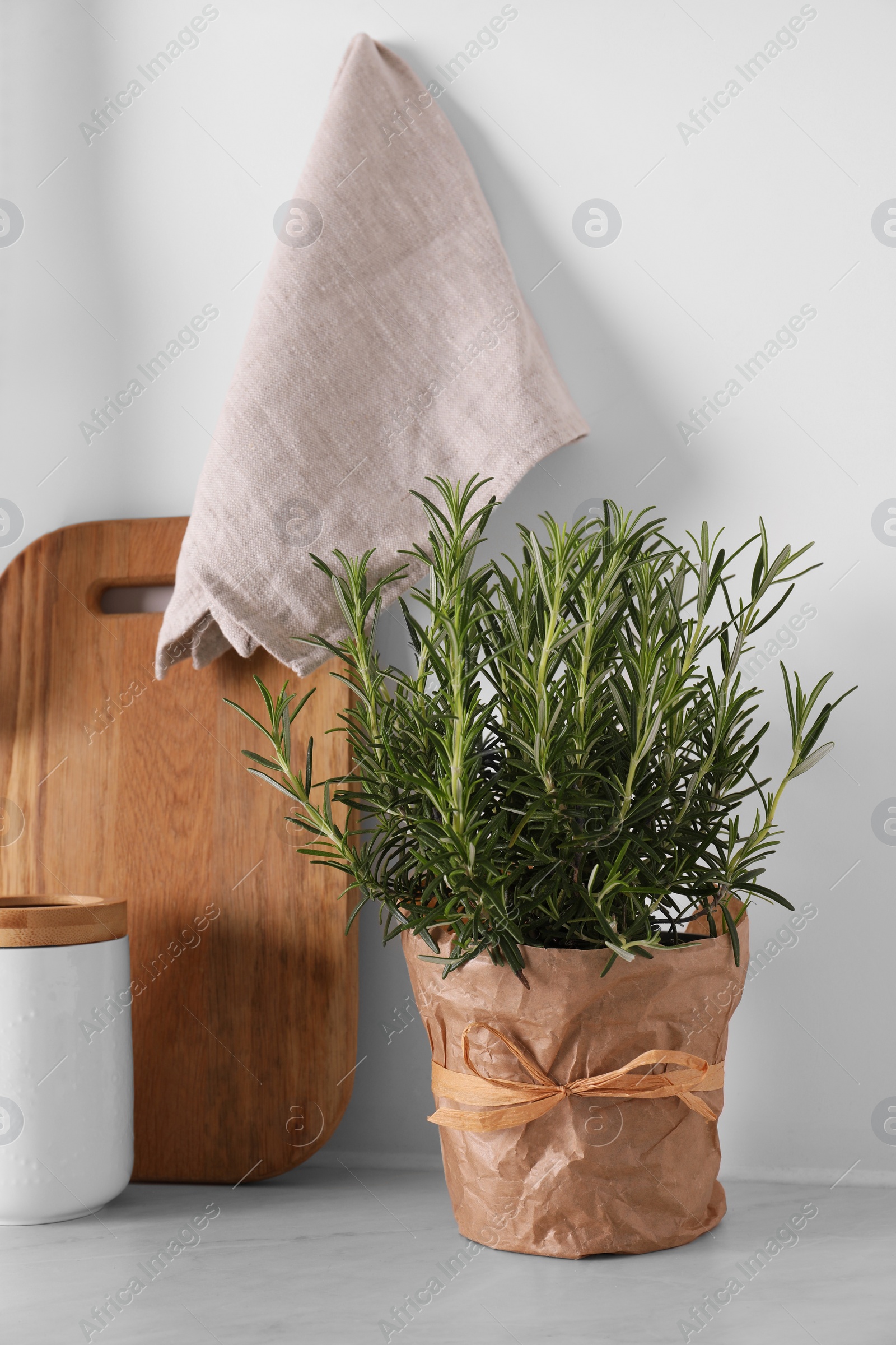 Photo of Aromatic green rosemary in pot on white table