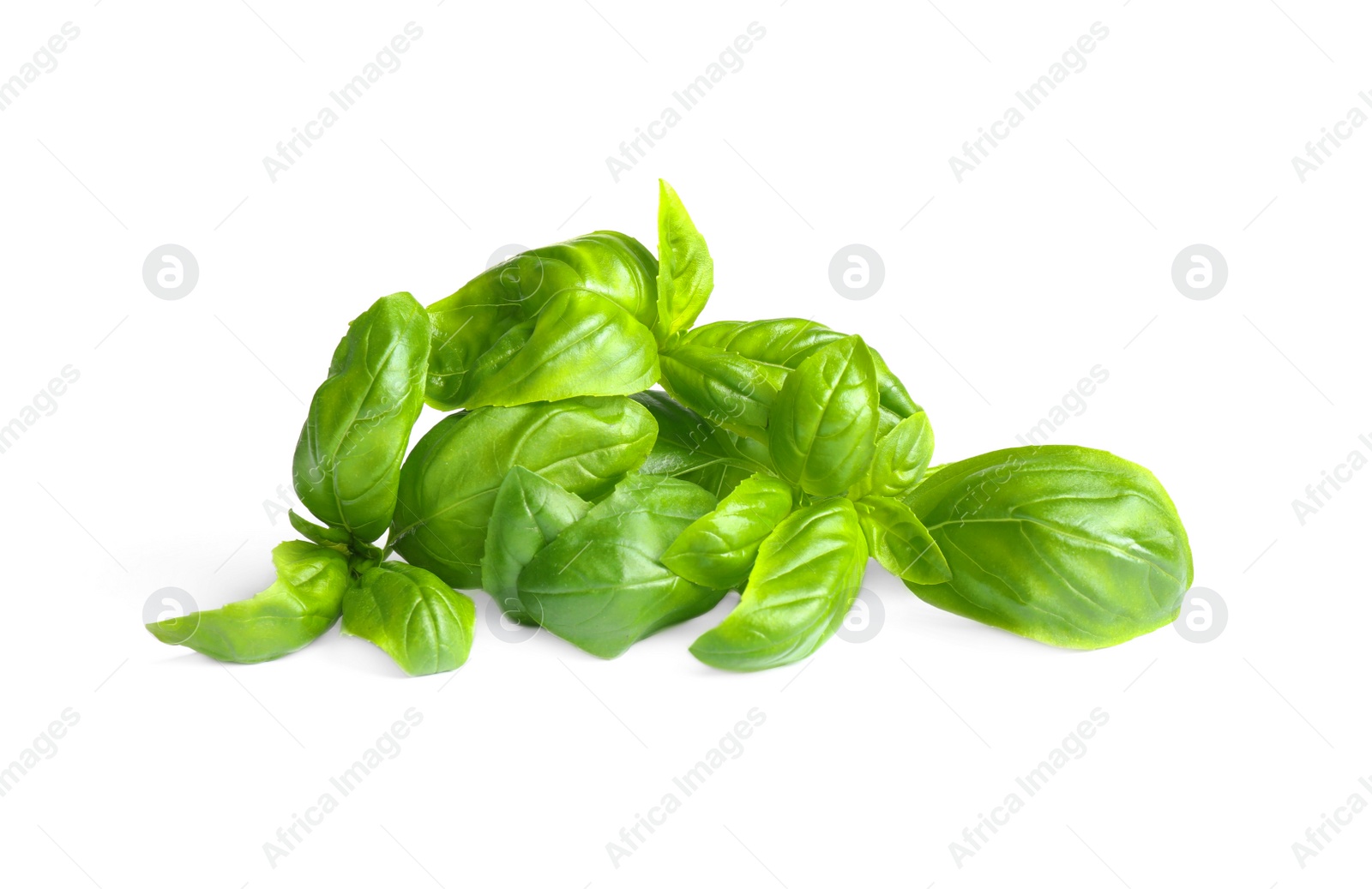 Photo of Fresh green basil leaves isolated on white