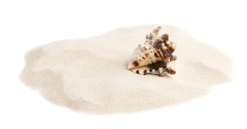 Pile of beach sand with sea shell on white background