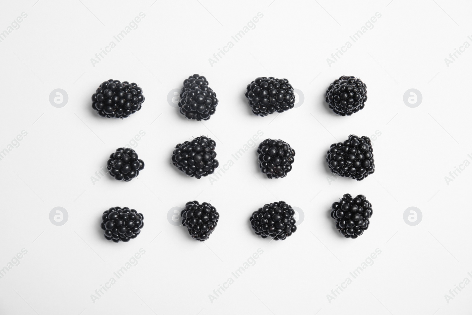 Photo of Flat lay composition with ripe blackberries on white background