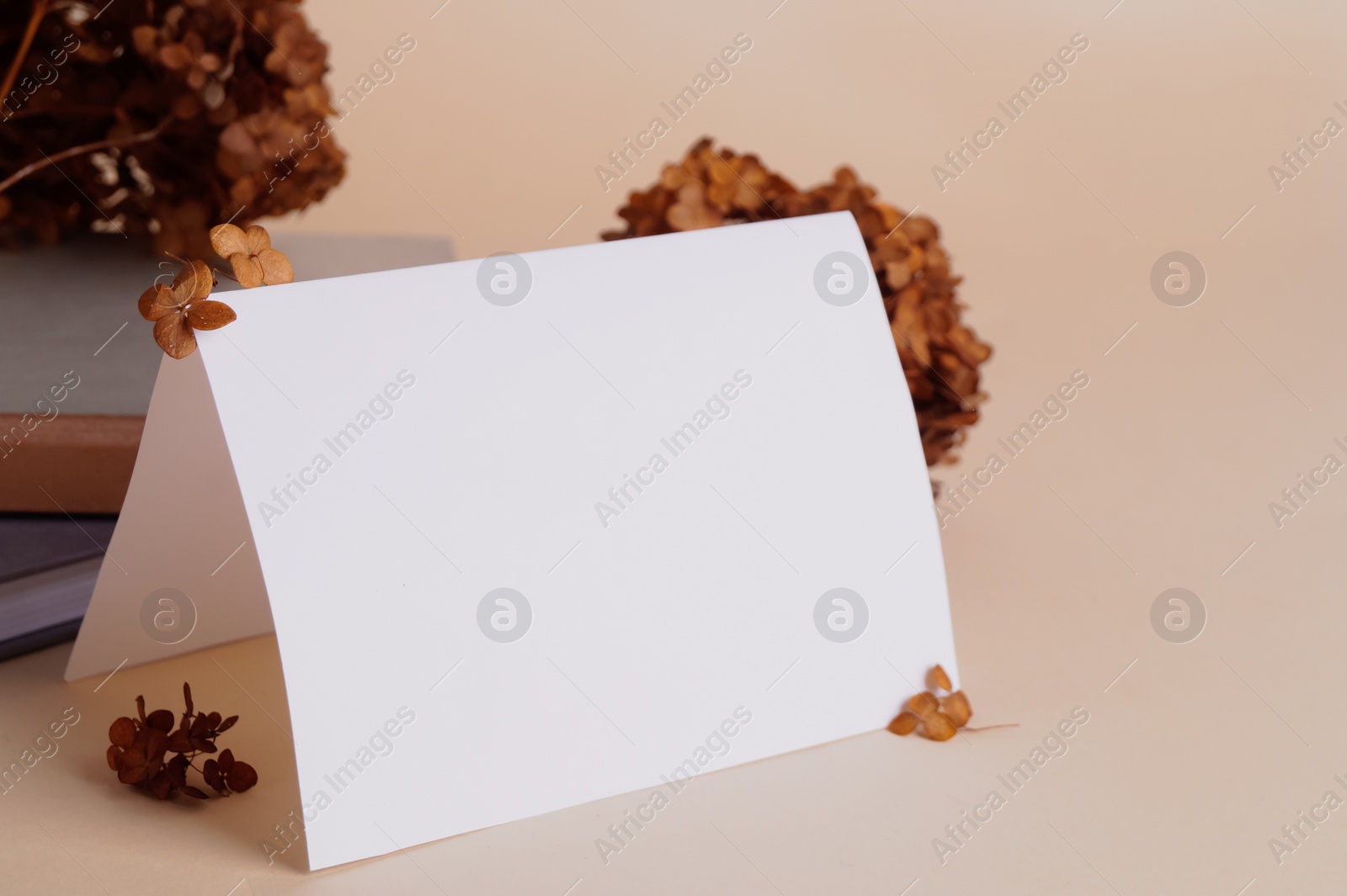 Photo of Dried hortensia flowers and sheet of paper on beige table. Space for text