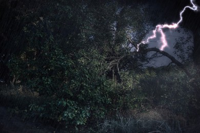 Image of Dark cloudy sky with lightning striking tree. Thunderstorm