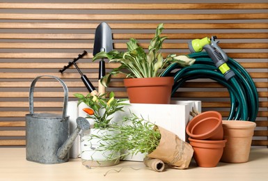Photo of Gardening tools and houseplants on wooden table