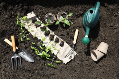 Photo of Many seedlings and different gardening tools on ground outdoors, top view