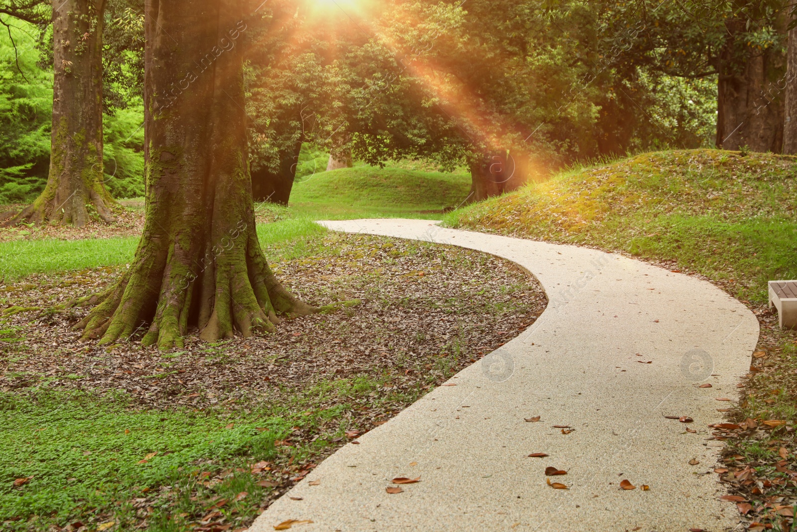 Photo of Picturesque view of tranquil park with paved pathway