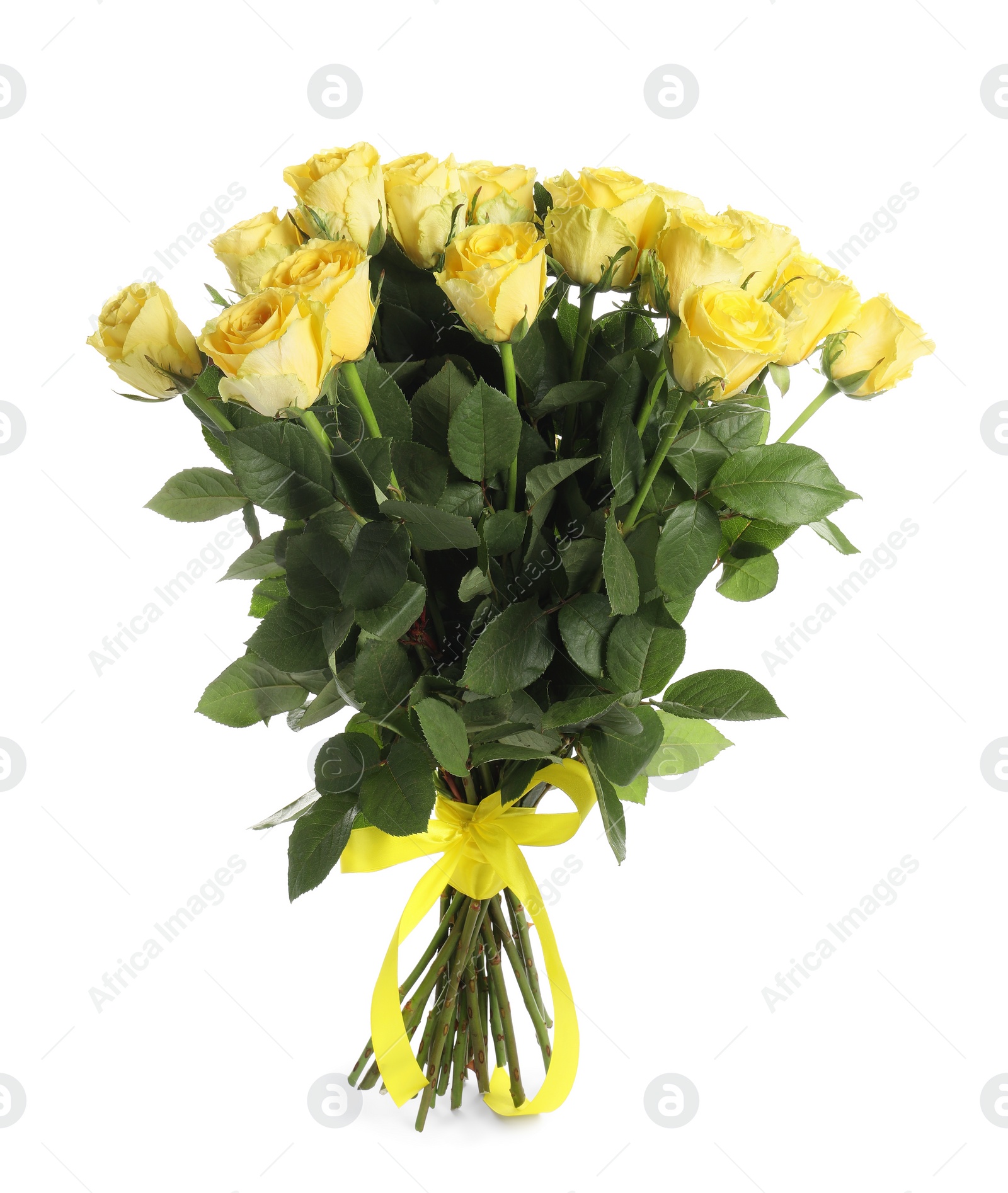 Photo of Beautiful bouquet of yellow roses with ribbon isolated on white