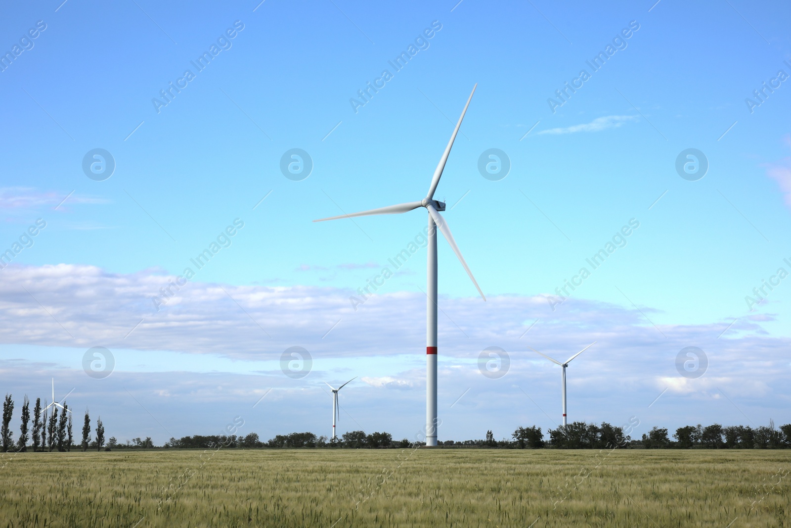 Photo of Beautiful view of field with wind turbines. Alternative energy source