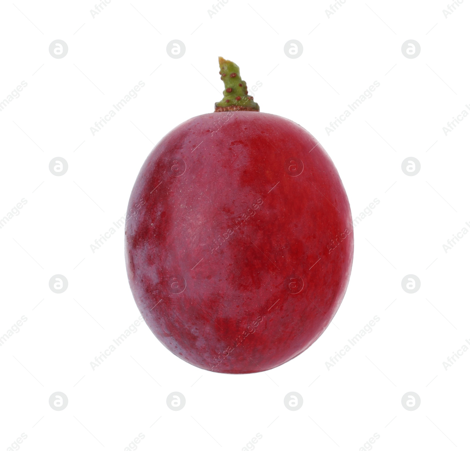 Photo of One ripe red grape isolated on white