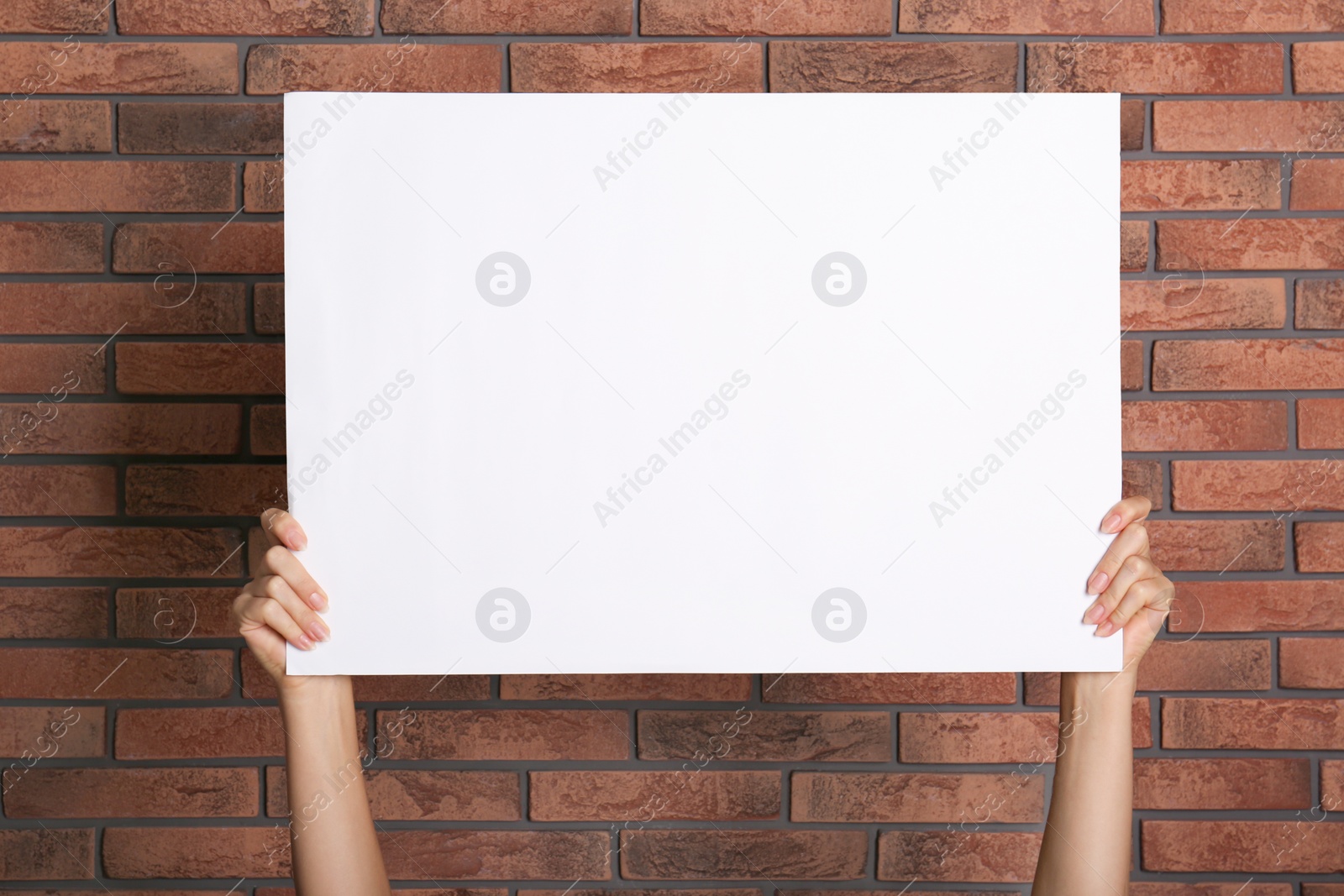 Photo of Woman holding white blank poster near red brick wall, closeup. Mockup for design