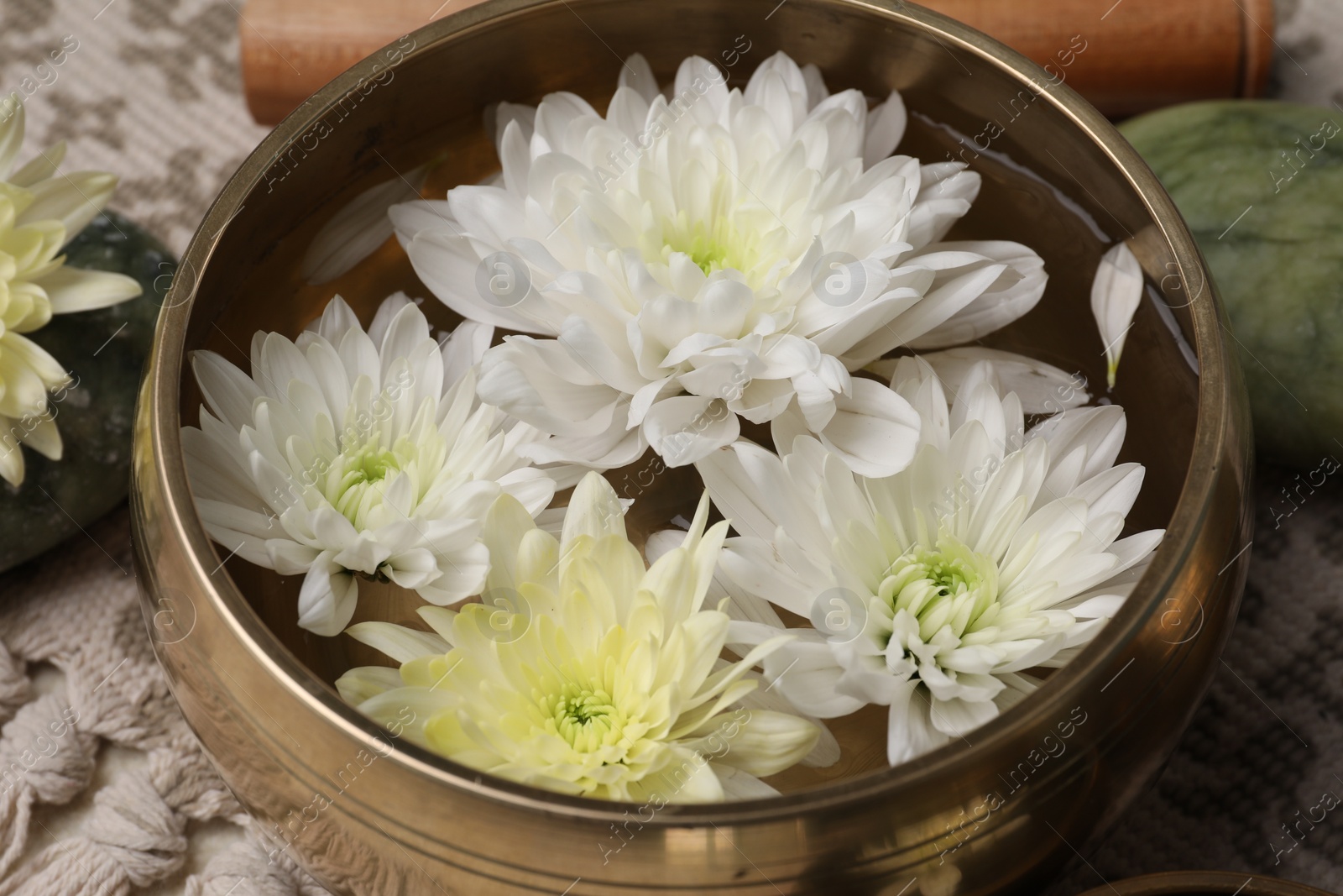 Photo of Tibetan singing bowl with water and beautiful chrysanthemum flowers on table, closeup