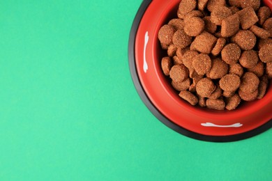 Photo of Dry dog food in feeding bowl on green background, top view. Space for text