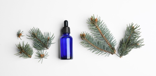 Photo of Little bottle with essential oil and pine branches on white background, flat lay