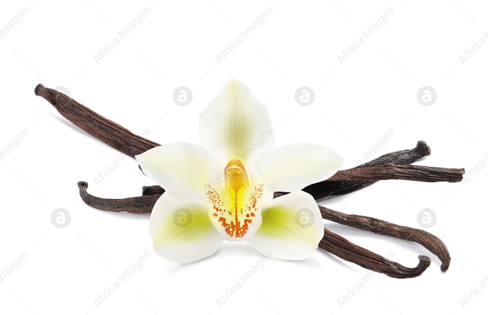 Image of Dried aromatic vanilla sticks and beautiful flower on white background