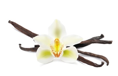 Image of Dried aromatic vanilla sticks and beautiful flower on white background