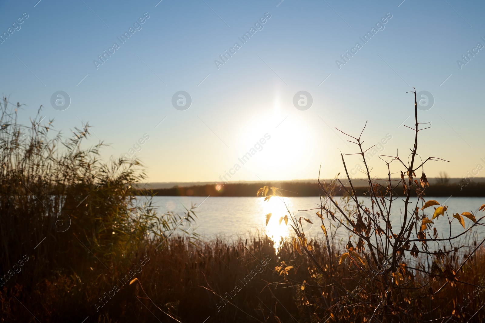 Photo of Picturesque view of tranquil river at sunset