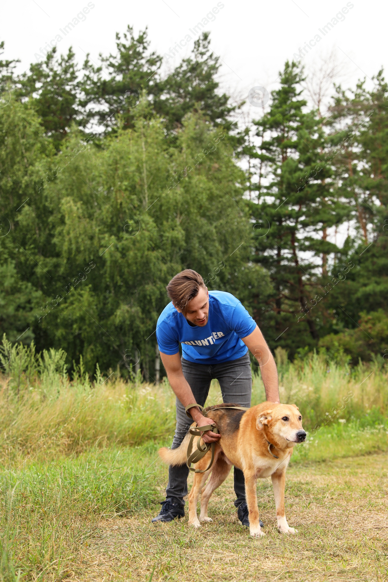 Photo of Male volunteer with homeless dog at animal shelter outdoors