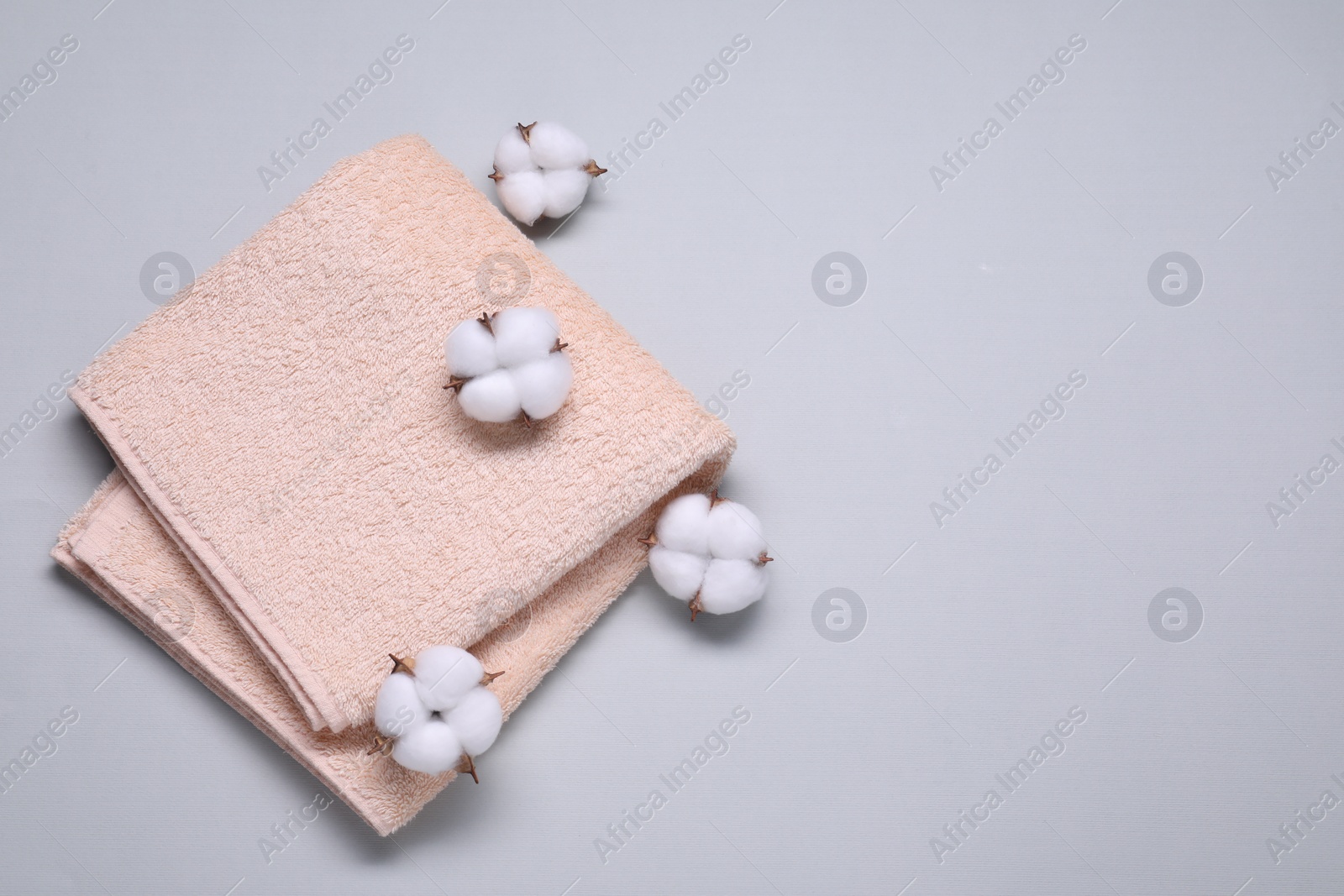 Photo of Fluffy cotton flowers and beige terry towel on light gray background, top view. Space for text