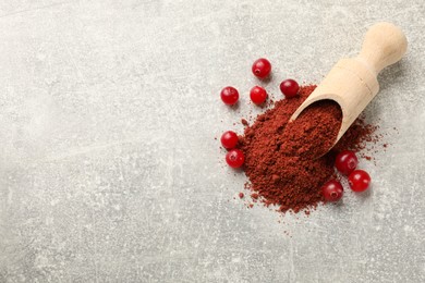 Cranberry powder, scoop and fresh berries on light grey table, top view. Space for text