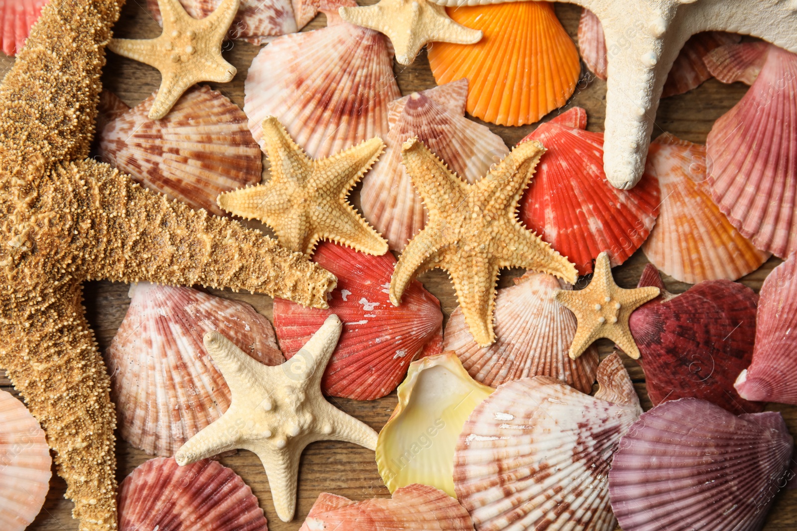 Photo of Beautiful sea stars and shells on wooden background, top view