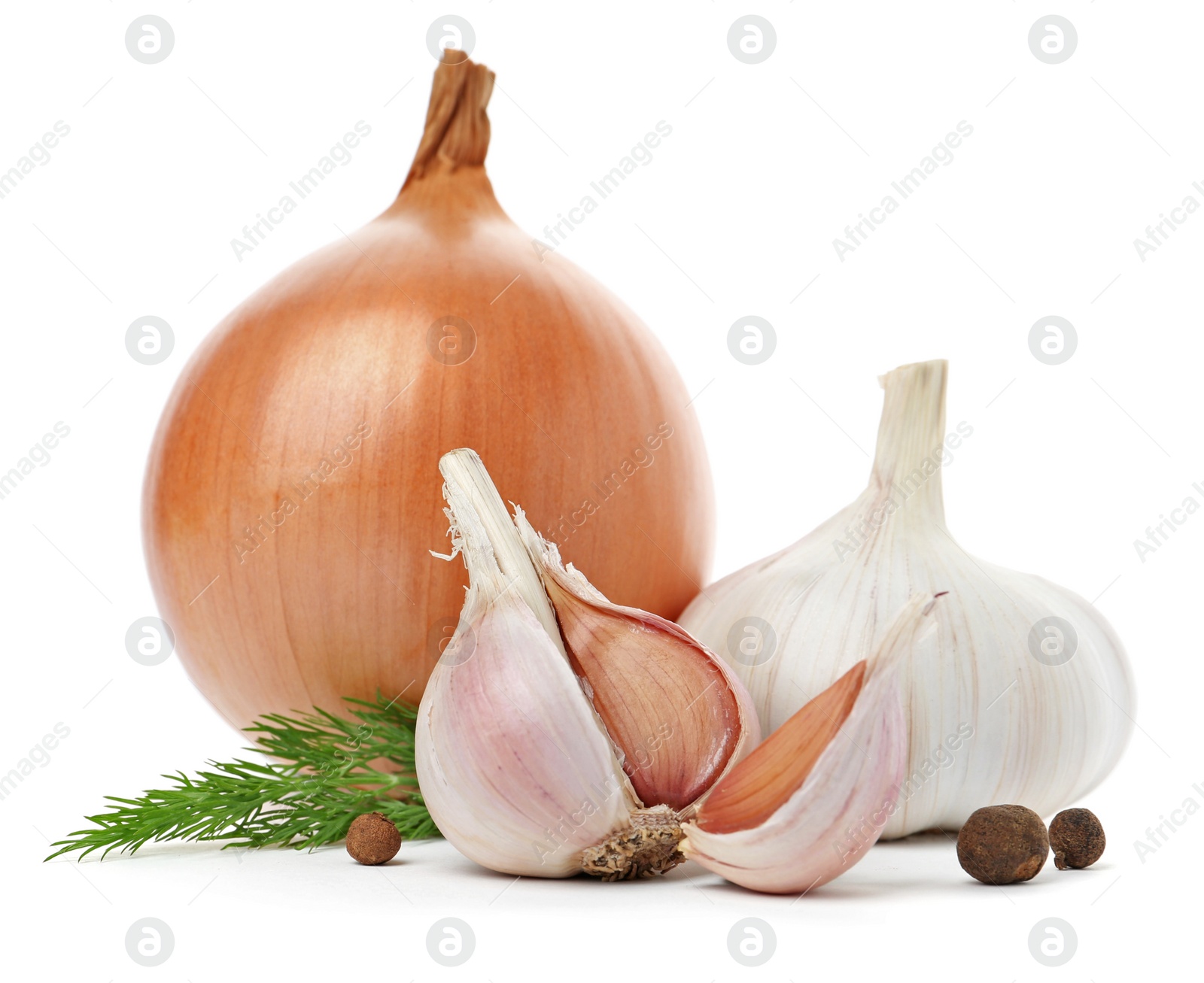 Photo of Garlic, onion, allspice and dill on white background