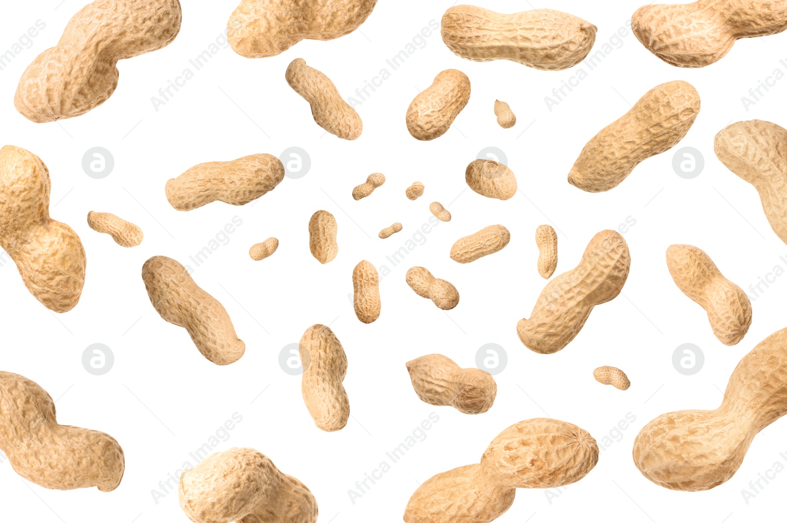 Image of Unpeeled peanuts in air on white background