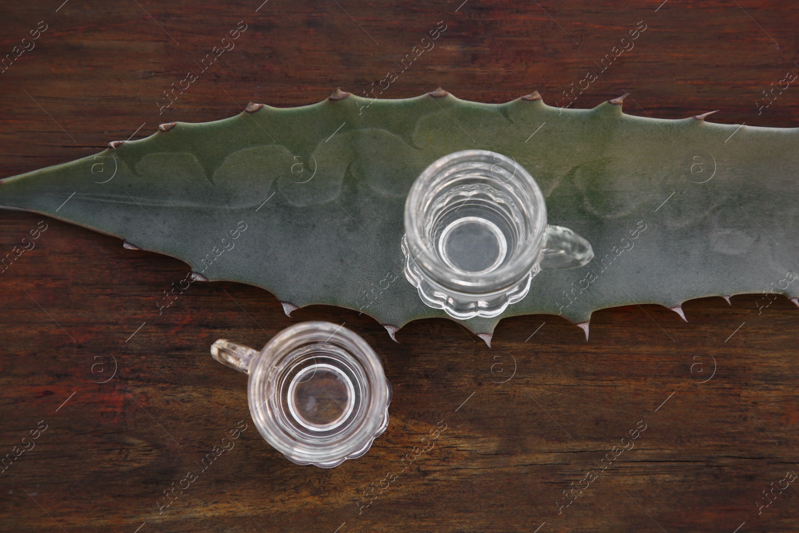 Photo of Mexican tequila shots and green leaf on wooden table, top view. Drink made of agava