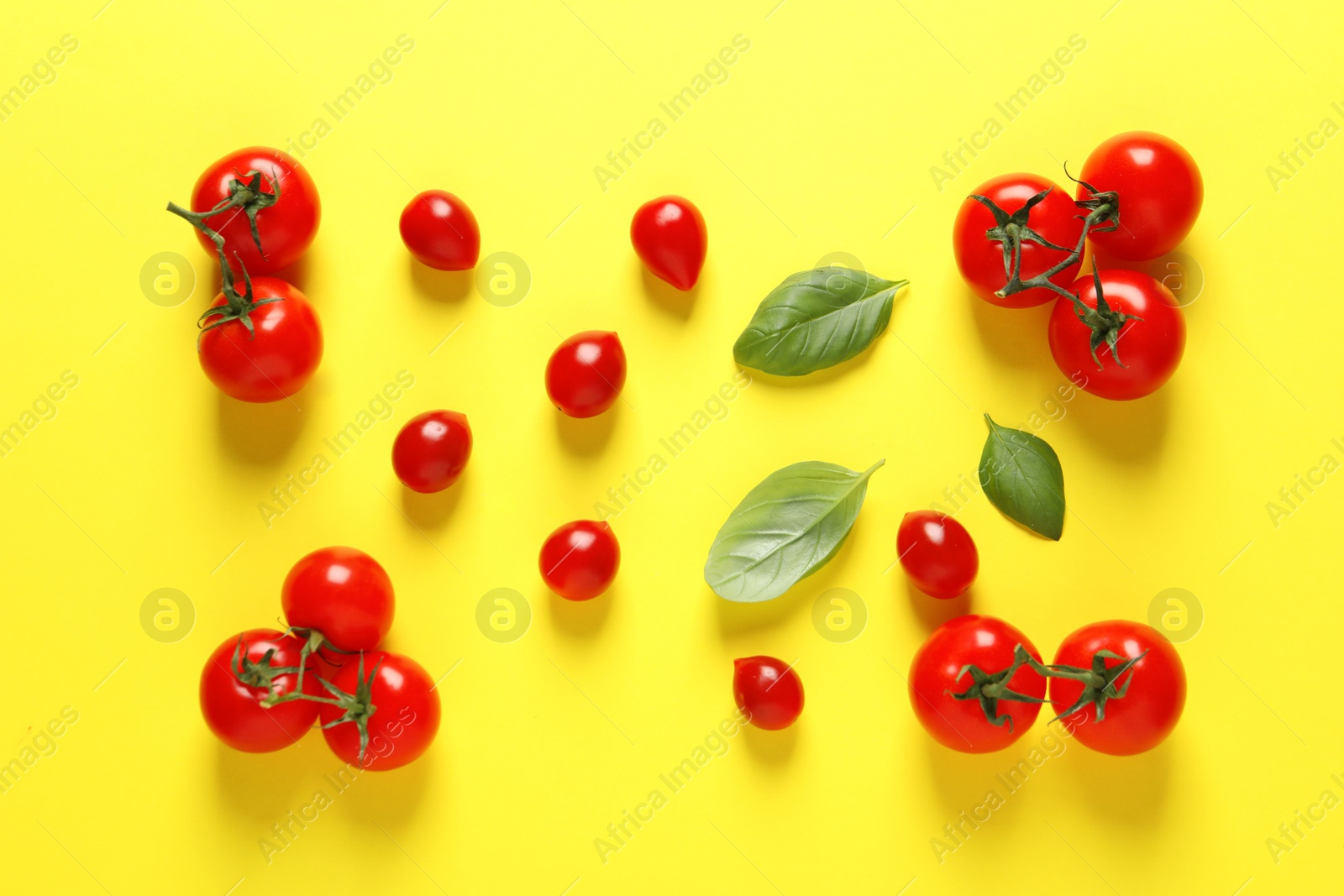 Photo of Flat lay composition with ripe cherry tomatoes and basil leaves on color background