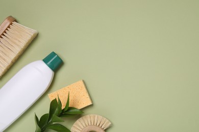 Photo of Bottle of cleaning product, brushes, sponge and decorative branch on green background, flat lay. Space for text