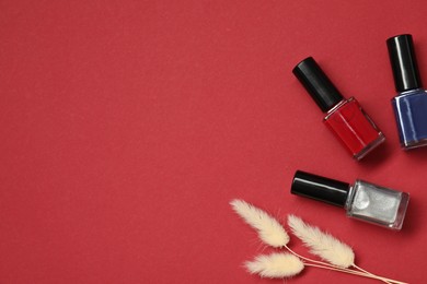 Photo of Nail polishes and decorative branches on red background, flat lay. Space for text
