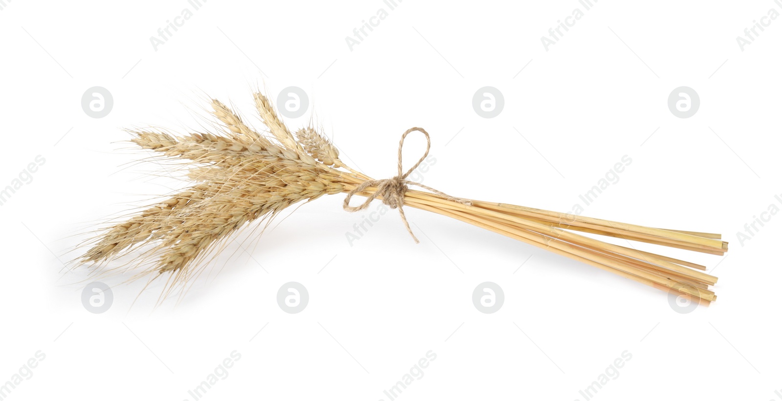 Photo of Bunch of wheat ears isolated on white