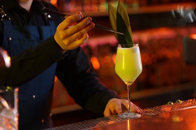 Bartender decorating fresh alcoholic cocktail with green leaves at bar counter, closeup