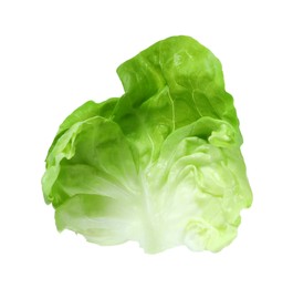 Fresh leaf of green butter lettuce isolated on white