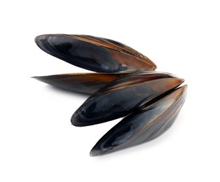 Photo of Open empty mussel shells on white background