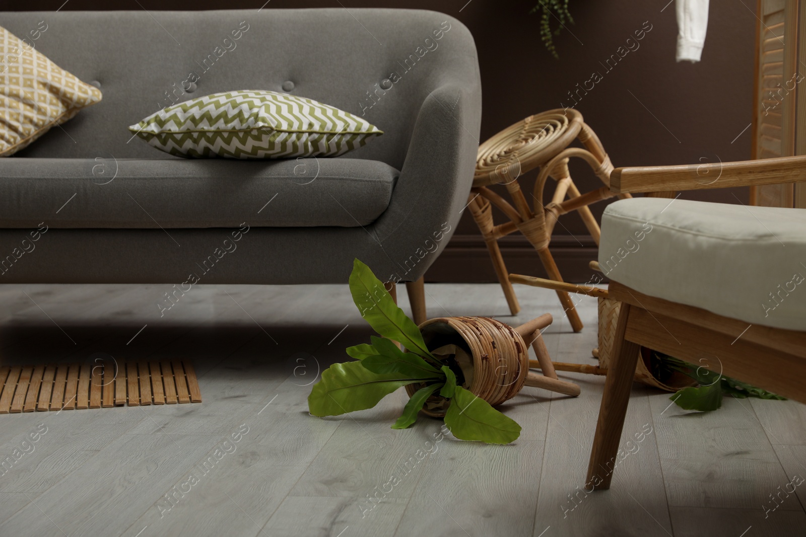 Photo of View on messy living room interior after earthquake