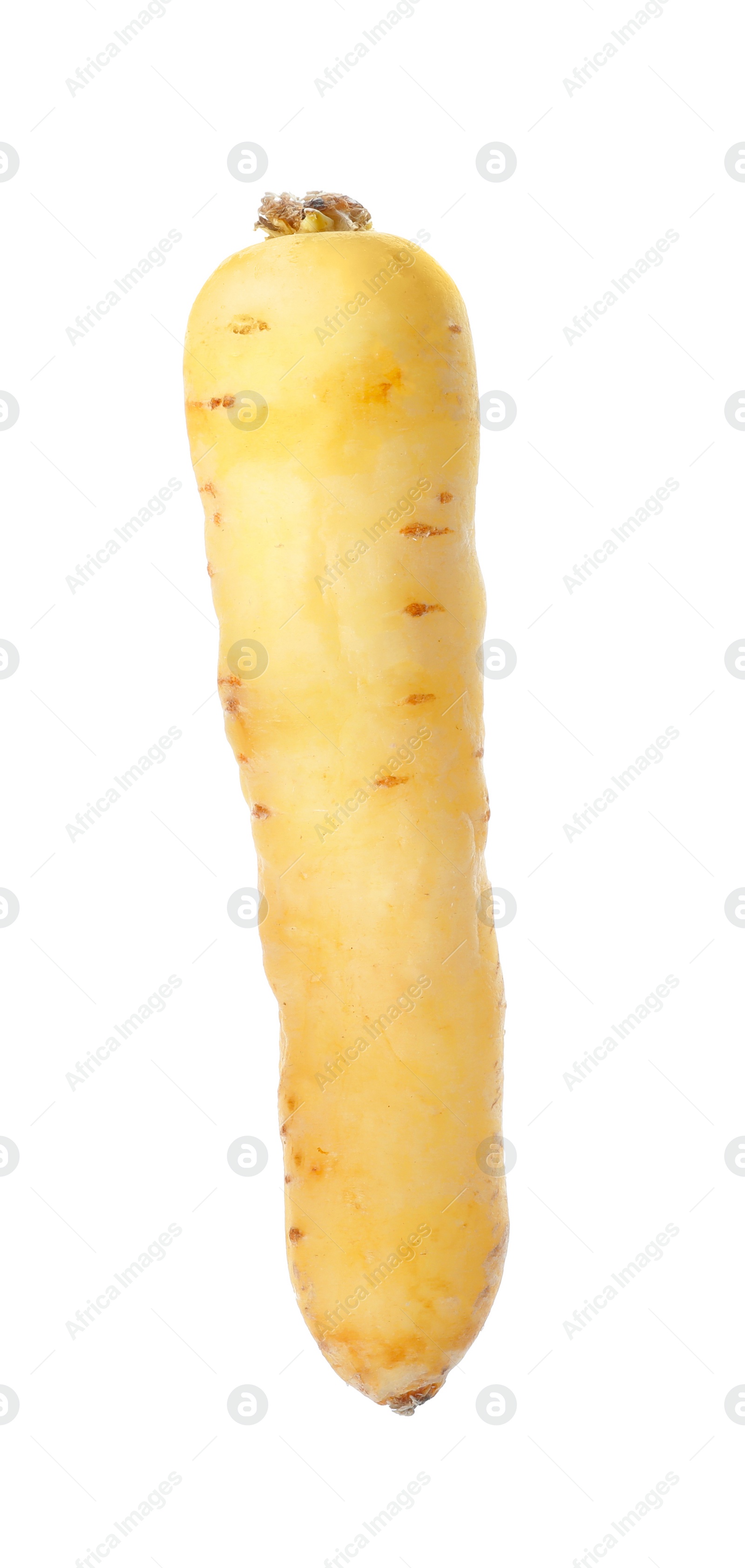 Photo of Whole fresh raw carrot isolated on white