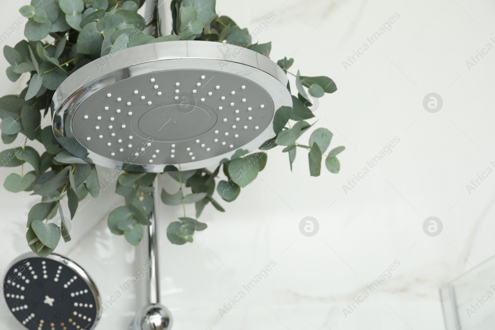 Photo of Branches with green eucalyptus leaves in shower, space for text