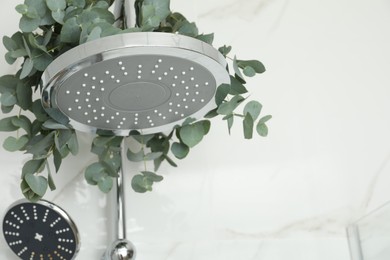 Branches with green eucalyptus leaves in shower, space for text