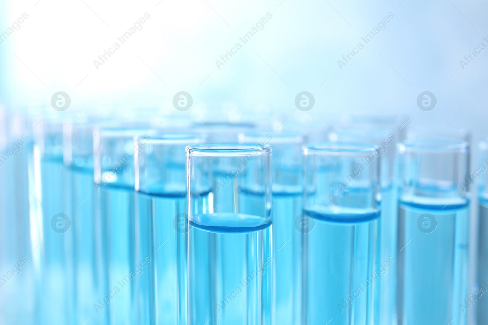 Photo of Many test tubes with light blue liquid on grey background, closeup