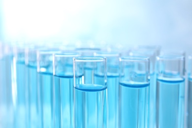 Photo of Many test tubes with light blue liquid on grey background, closeup