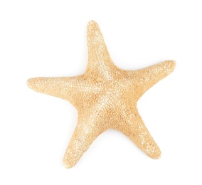 Beautiful starfish on white background, top view. Beach object