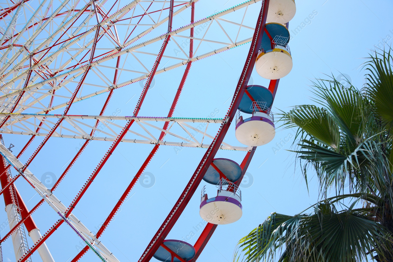 Photo of Beautiful large Ferris wheel and palm tree against blue sky, low angle view