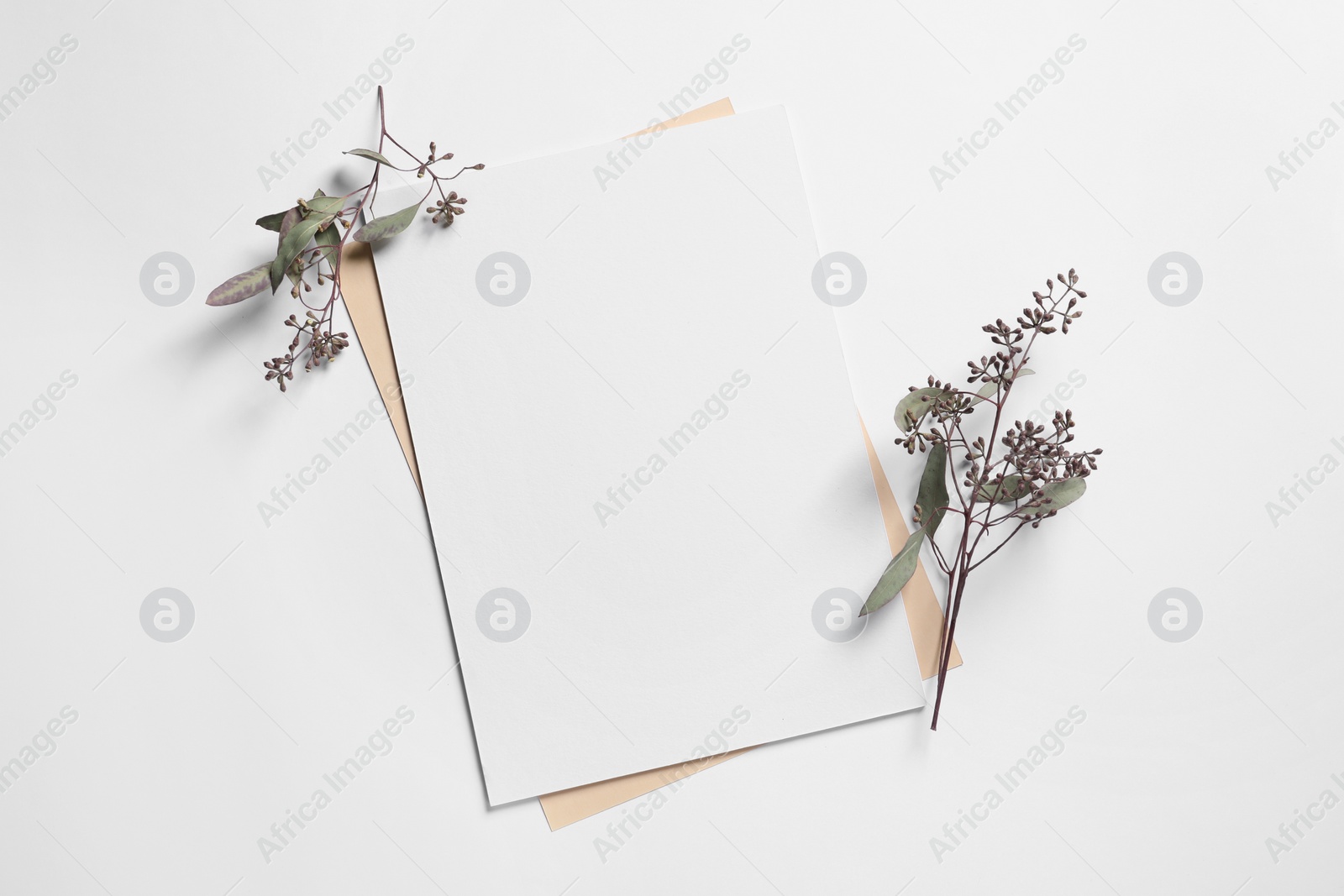 Photo of Empty sheet of paper and decorative eucalyptus leaves on white background, flat lay. Mockup for design