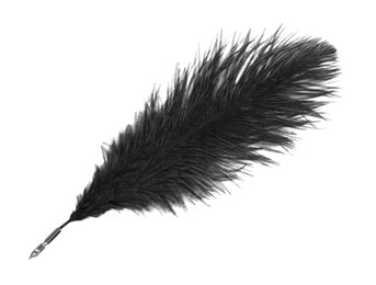 Photo of Black lush feather pen on white background