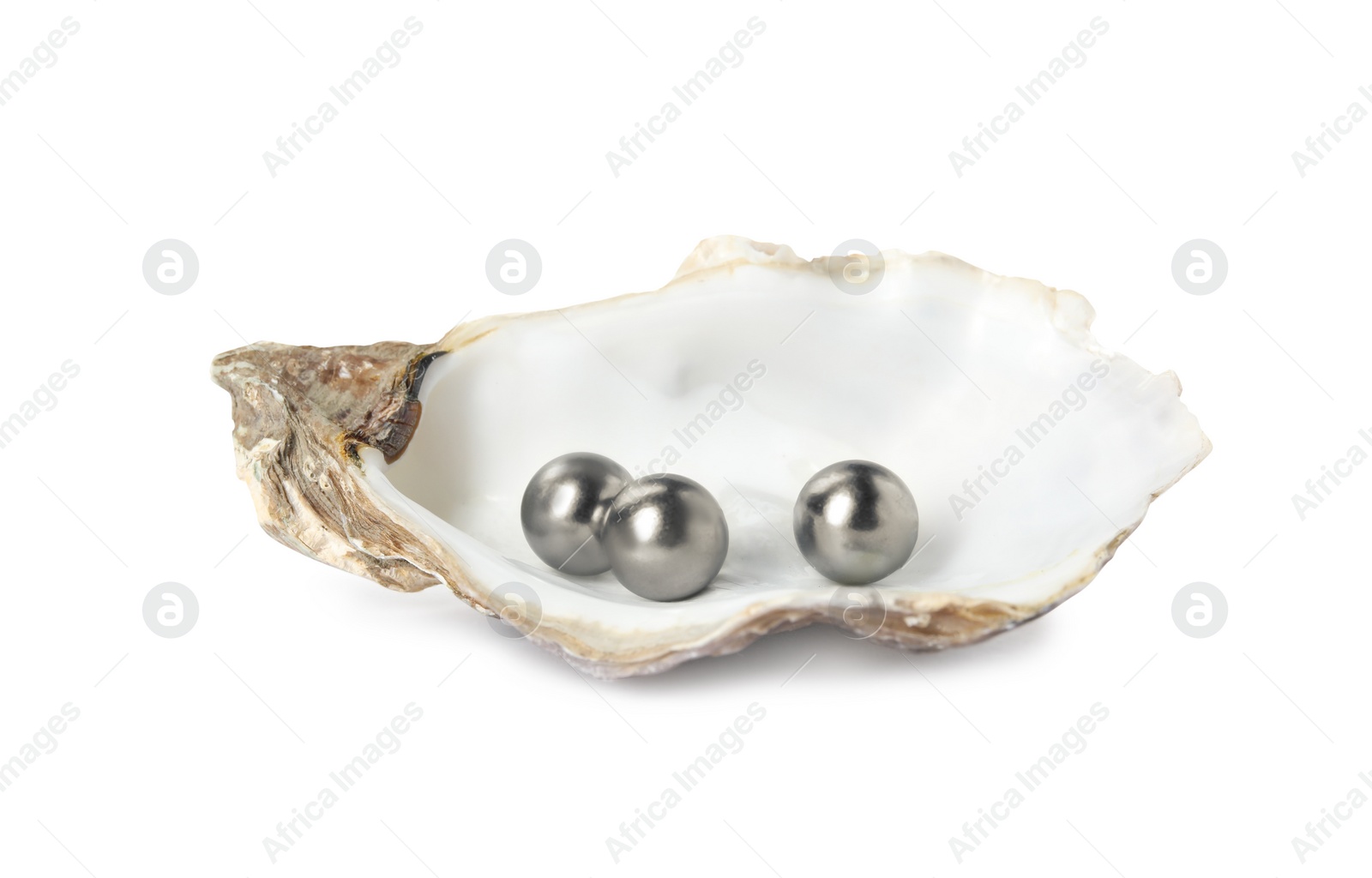 Photo of Oyster shell with black pearls on white background