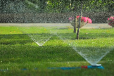 Photo of Automatic sprinklers watering green grass in park. Irrigation system