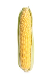 Photo of Ripe raw corn cob isolated on white